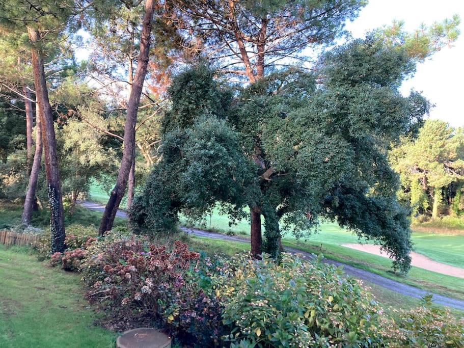 Vue Golf dans Résidence Nature SYMPALAPPART Moliets-et-Maa Exterior foto